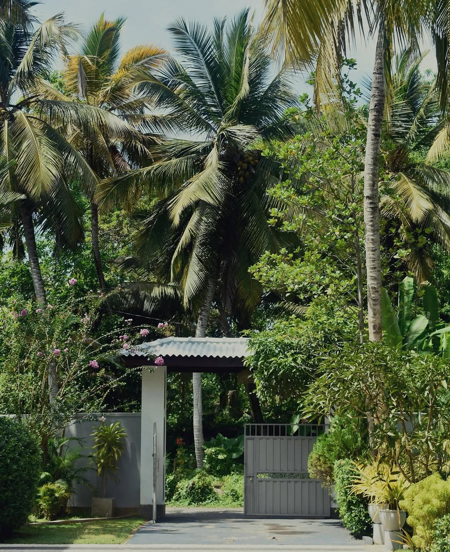 Palm-fringed tropical gardens near Unawatuna beach, southern Sri Lanka