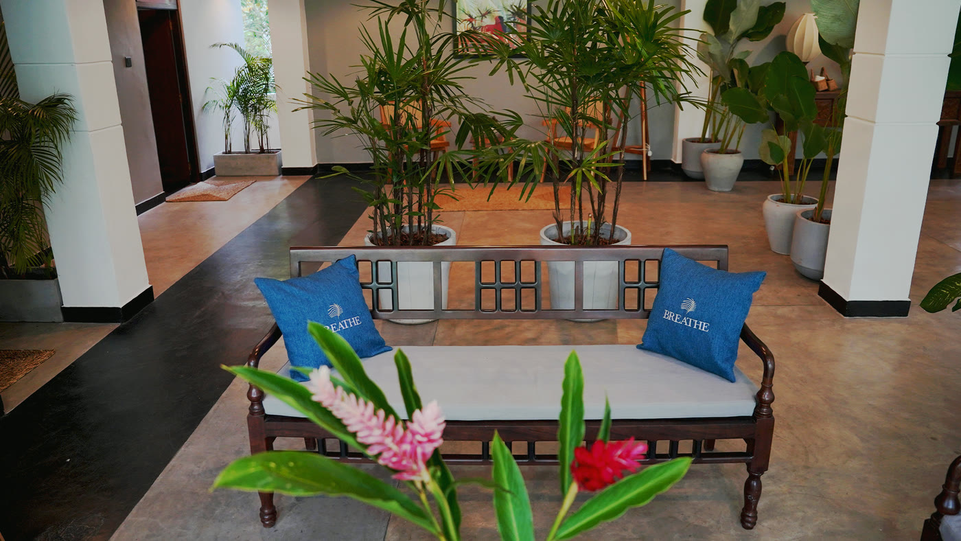 Antique bench with Breathe cushions and ginger flowers