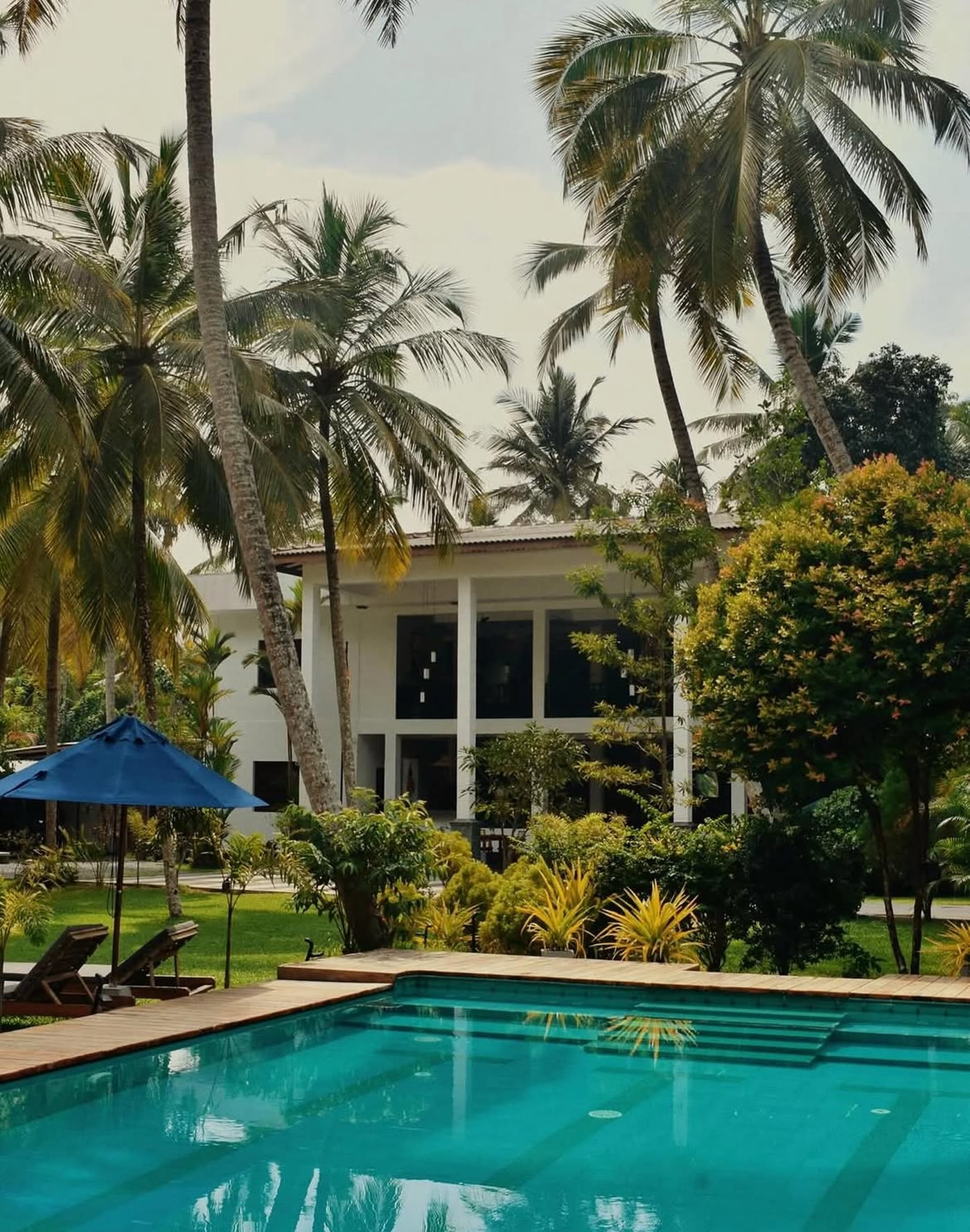 Swimming pool with blue umbrella and white hotel building at Breathe Collections, Sri Lanka